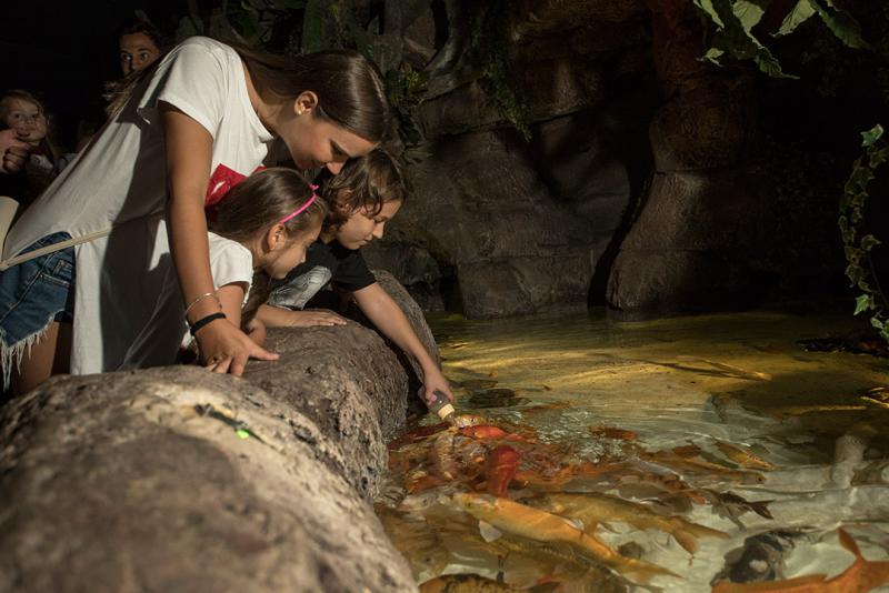 Antalya Aquarium tours