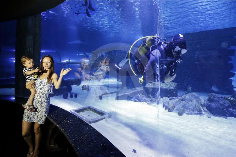 Antalya Aquarium tours