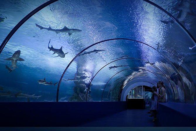 Antalya Aquarium tours