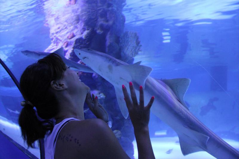 Antalya Aquarium tours