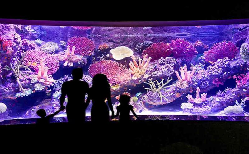 Antalya Aquarium tours